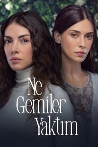  Какие корабли я сжёг 